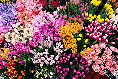 《WWE 2K23》上市日期与封面泄露 赵喜娜招牌姿势